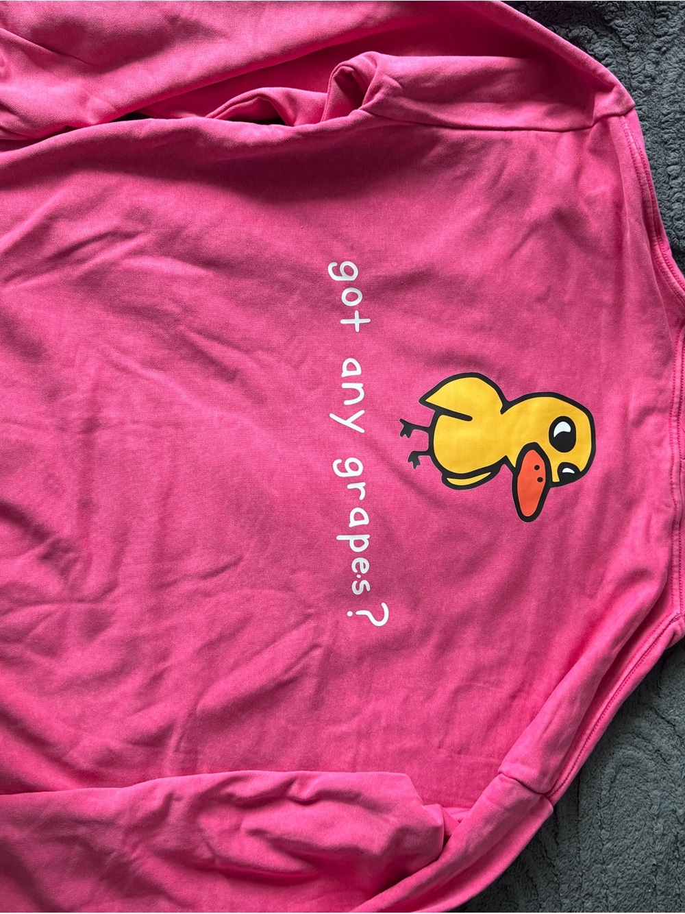 Pink Graphic Duck Sweatshirt for Women